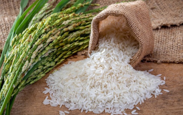 Premium Rice