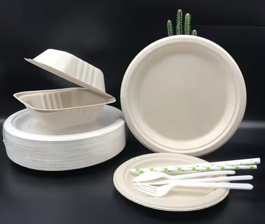 Sugarcane Plates